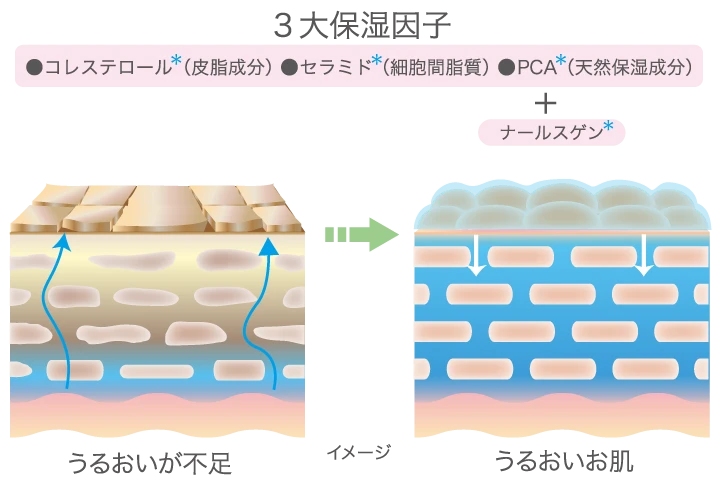 さらなる潤いのために肌本来の輝きへ