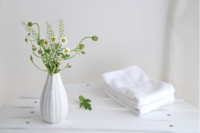 美肌美人の要素その3「ハリ」