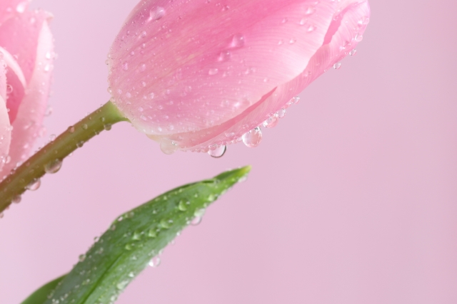 保湿はできているけど、保水をできてない人が多い