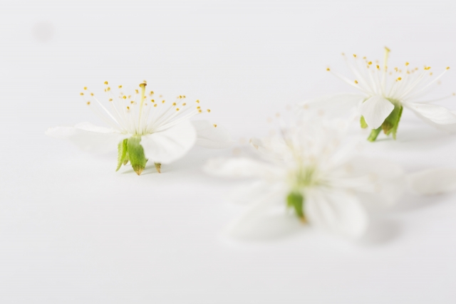 乾燥肌を守るおすすめのスキンケアアイテムと正しい使い方