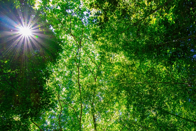 春の紫外線と肌荒れ、実はつながっている