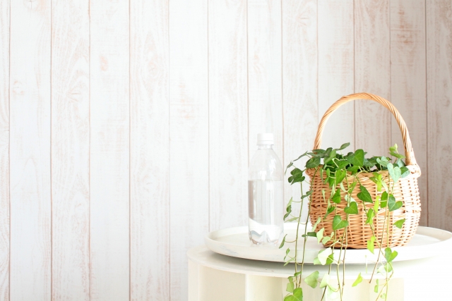 保湿肌を守るには、“洗い方”も見直すべき理由