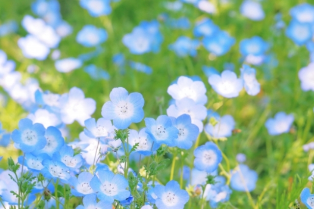 洗顔後は保水と保湿のダブルケアで肌を守る