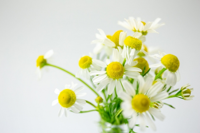 あなたの肌はどのタイプ？5つの肌質と見分け方