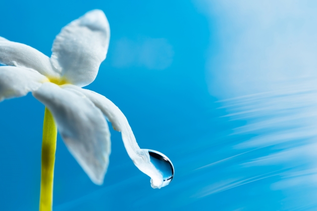 保湿ってなに？肌のバリア機能と潤いの仕組み