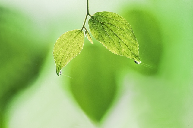 肌の水分をしっかりとキャッチ。こんな肌悩みの味方に。