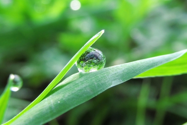 次世代の選択　油分に頼らない「新しい保湿」