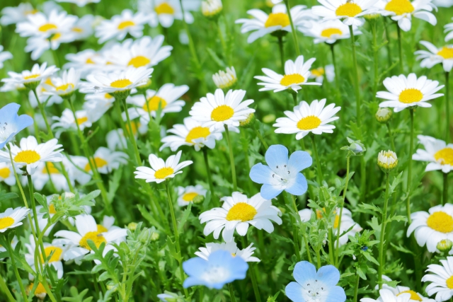 「無添加」って実はバラバラ。代わりに入っているものにも注目を