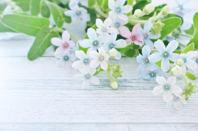 無添加のその先へ──肌が求めているスキンケアとは