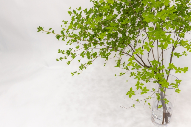 洗顔後につっぱるのはなぜ？やさしく整えて、ほっとする肌へ