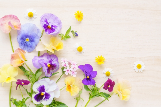 朝洗顔の正しいやり方｜肌本来の力を守るやさしい洗顔方法